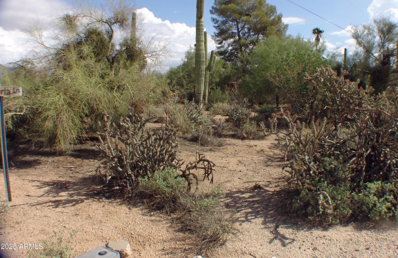 VIEW ACROSS FRONT OF LOT DSC07456