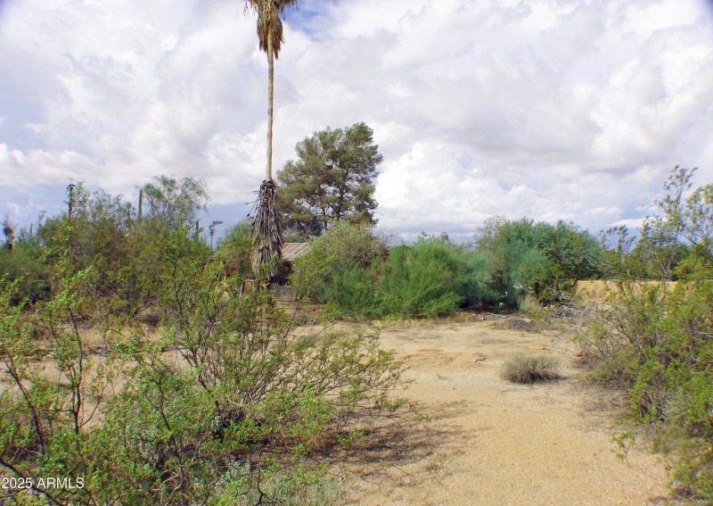 VIEW ACROSS REAR OF LOT TO HOME DSC07465