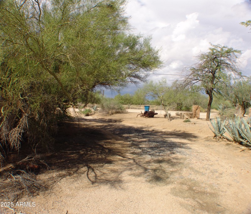 VIEW TO 64TH ST FROM DRIVEWAY DSC07485