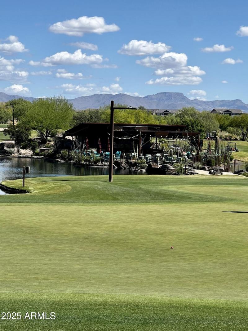 LIL WICK TAKEN BY WENDY K.