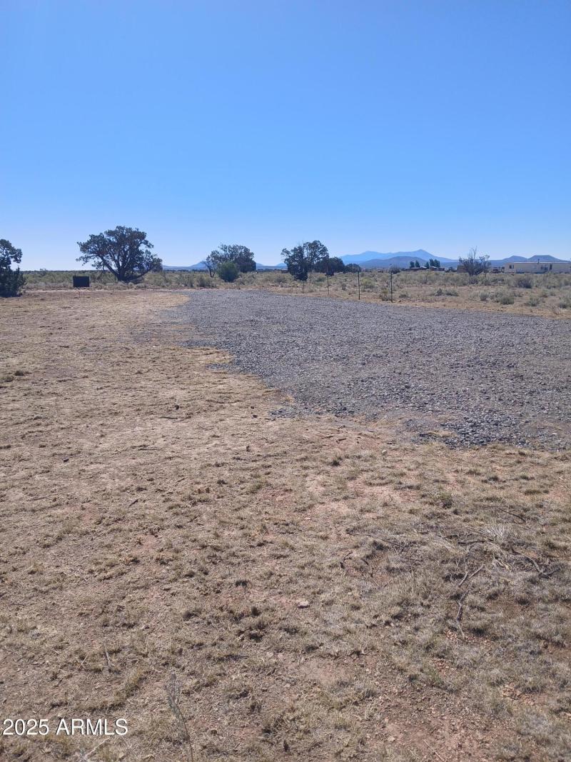 11) 63509-68d821315e514