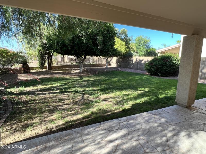 Photo Jun 19 2023, 8 10 47 AM