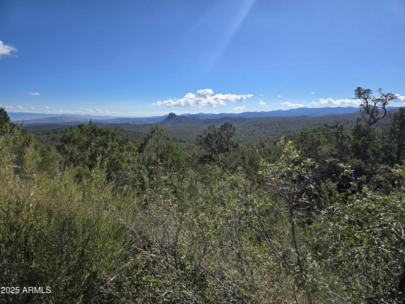 Perfect mountain retreat lot