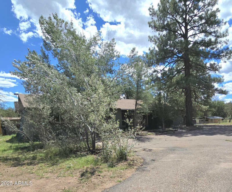 Hm surrounded by Mature Shade Trees
