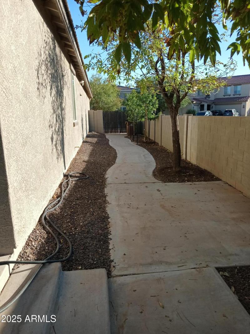 X-tra Wide Sidewalk to Back yard