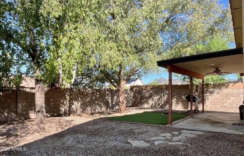 spacious shaded yard