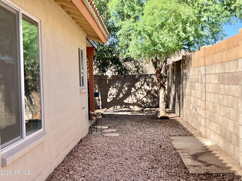 North side back yard