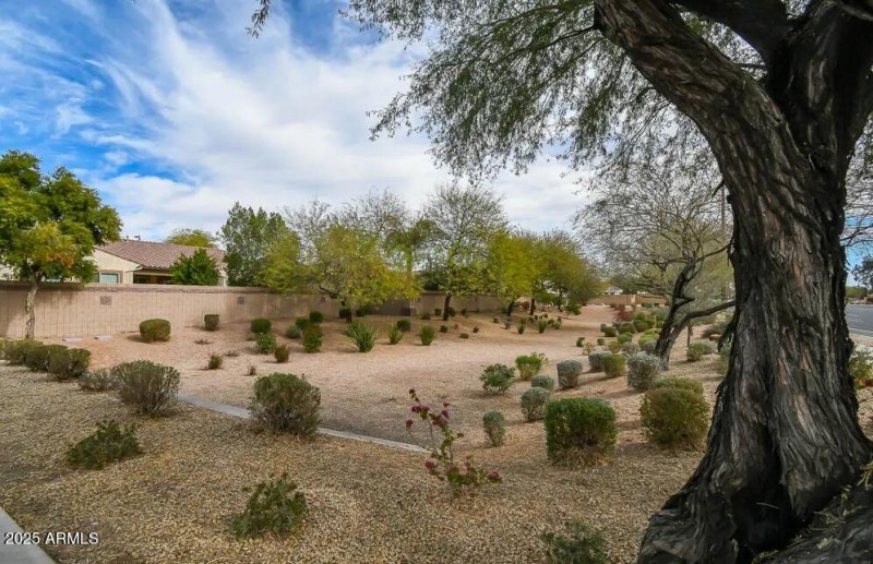 Mesquite Grove Estates Common Area