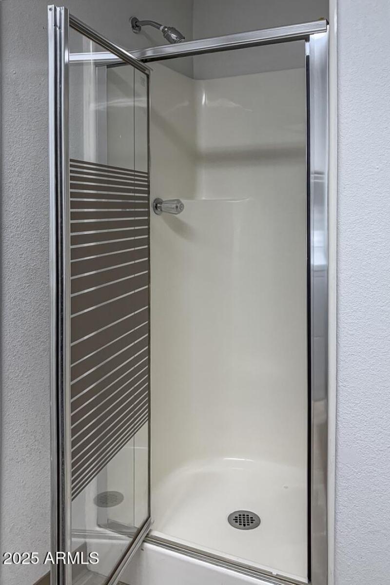 Shower in Downstairs Bathroom