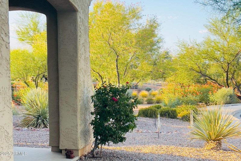 Untitled design (10)