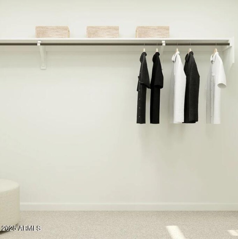 Owners Walk in Closet