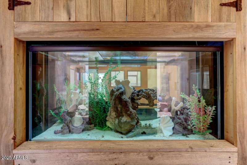 Greeted by your build-in 130 gallon salt