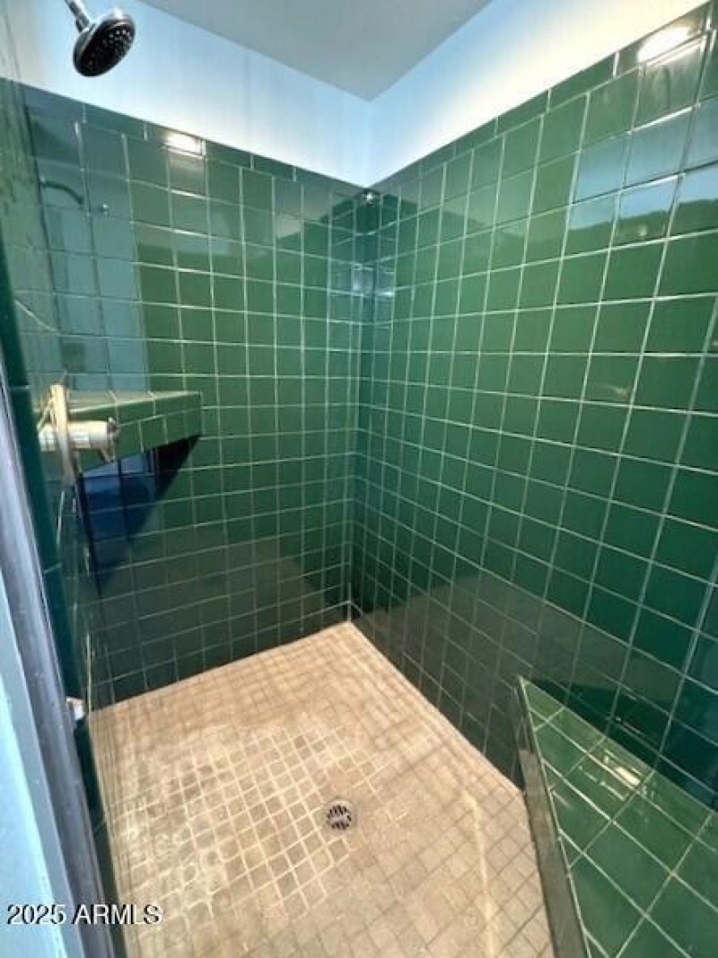 Primary Shower