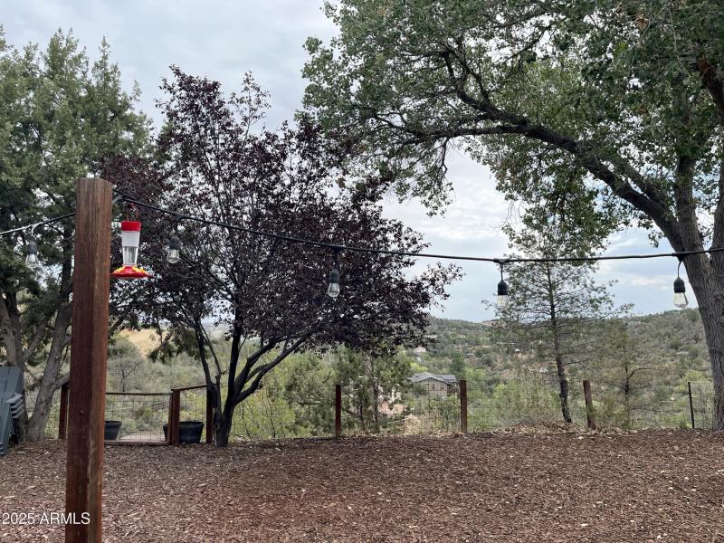 Front-Yard-View-scaled