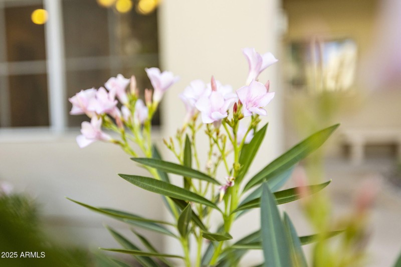 30-web-or-mls-_TM_9835