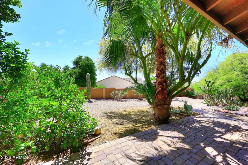 document-d2999b21-a0d5-4d52-8897-6857bb4