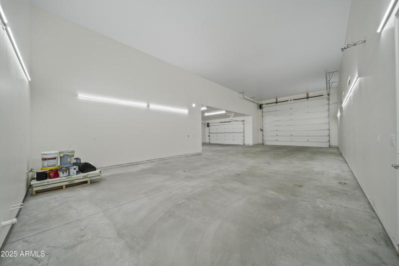 Lupine Ln Reshoot 00011