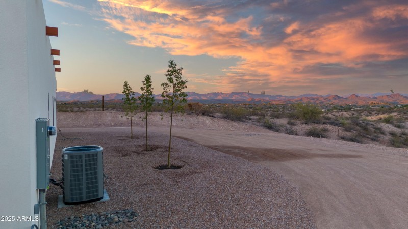 Lupine Ln Reshoot 00002