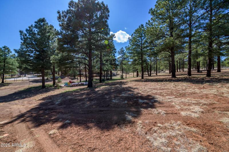 5455 E Cullum Ln, Flagstaff (74 of 76)