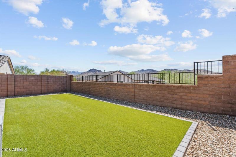 Backyard View