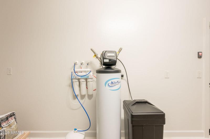 33-web-or-mls-Bittercress-33