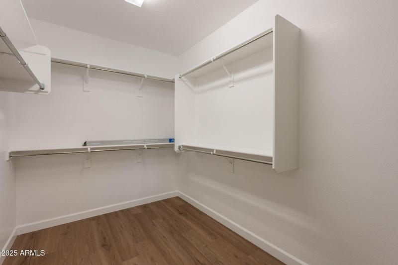 31-web-or-mls-Bittercress-31