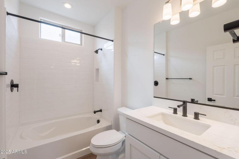 24-web-or-mls-Bittercress-24