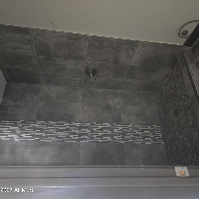 Primary walk-in shower