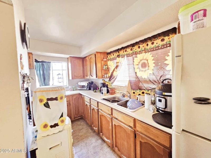 449503795_1305515777091121_7462788550265