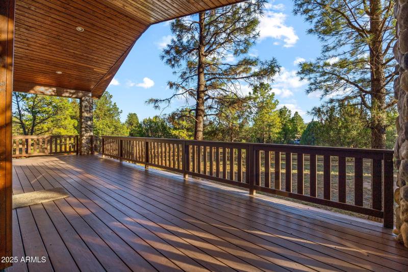 2758JaguarCir-Heber-AZ-29