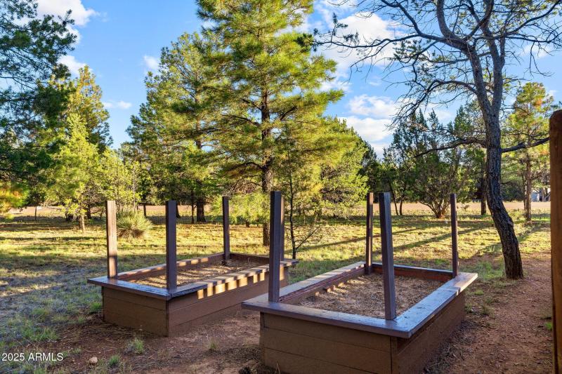 2758JaguarCir-Heber-AZ-34