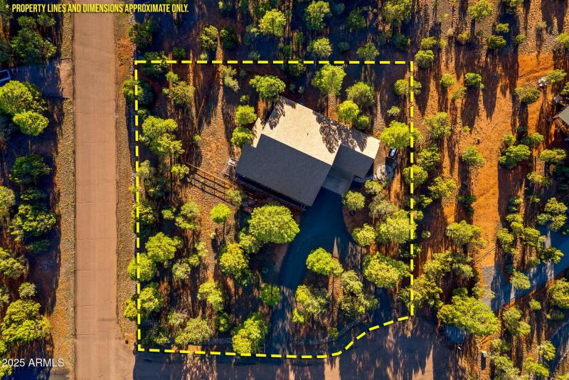 2758JaguarCir-Heber-AZ-43