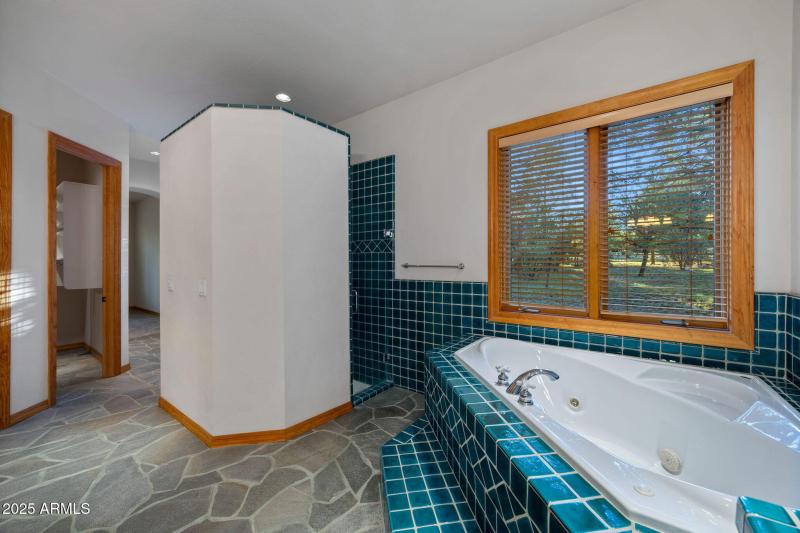 2758JaguarCir-Heber-AZ-18