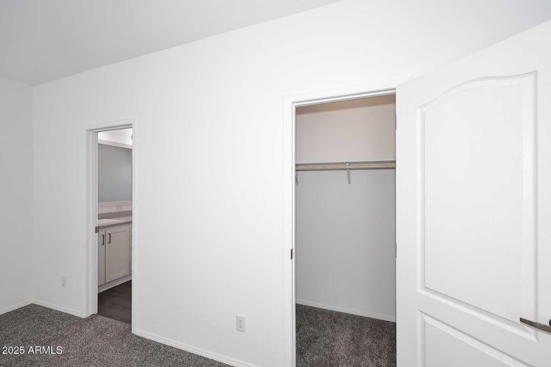 Primary Bedroom-Walk-in Closet