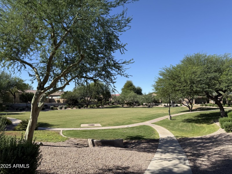 Mesquite Grove Walking Trails