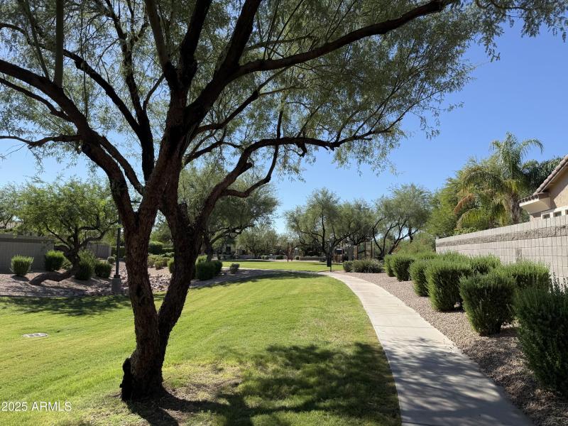 Mesquite Grove Walking Trails
