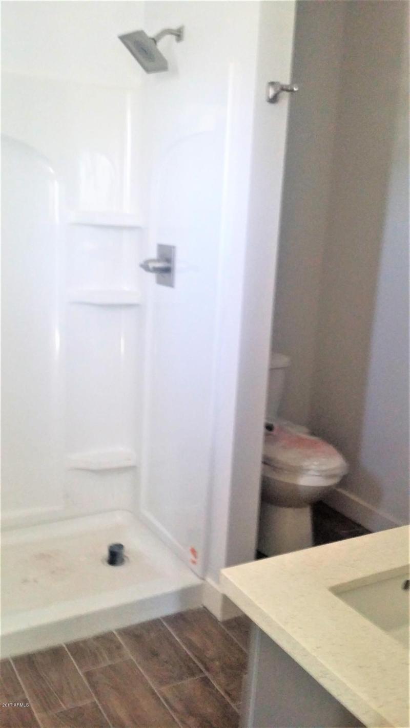 Downstairs Master Walk in Shower