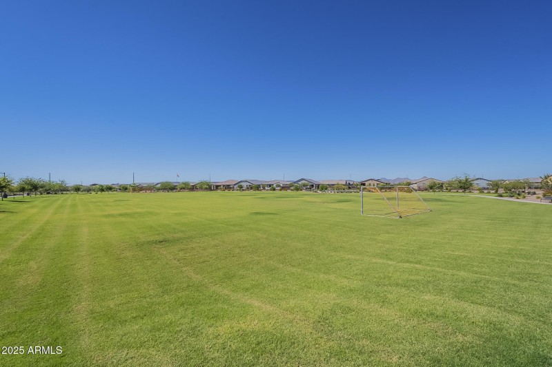 Luscious greenbelts!