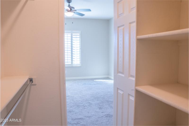 Primary Walk-in Closet