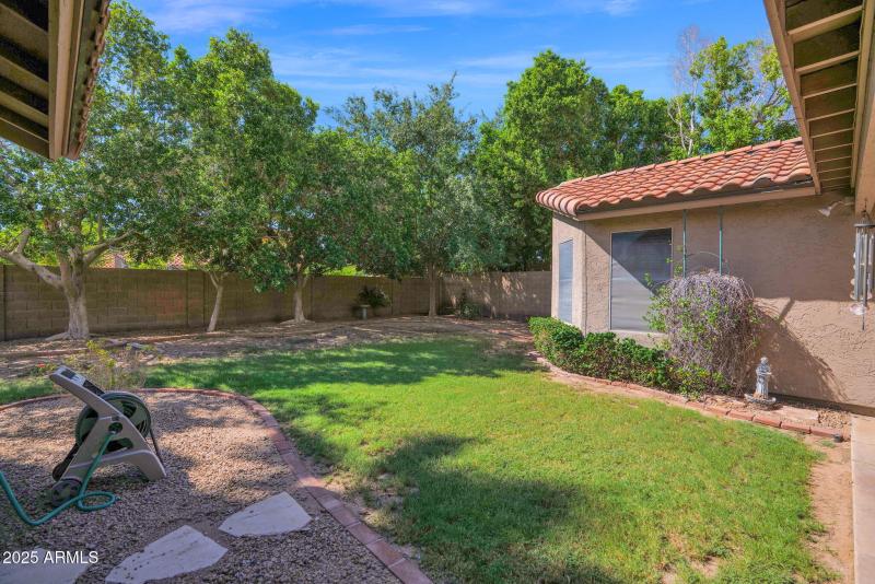 1701 Springfield - 29Backyard