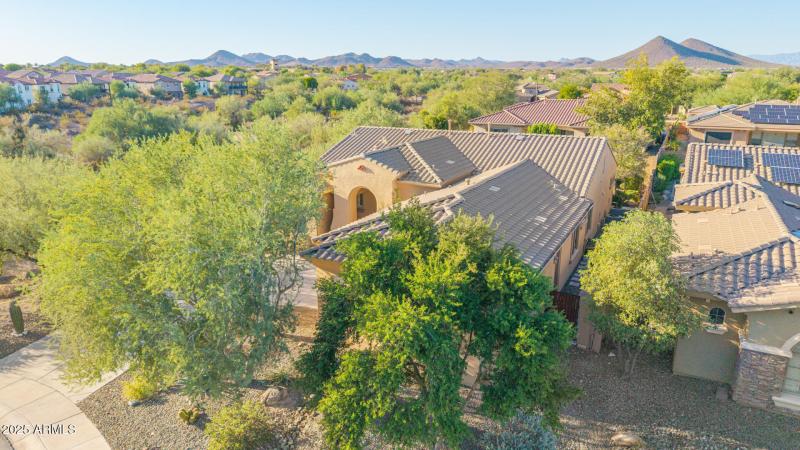 55 - Blackstone Drone