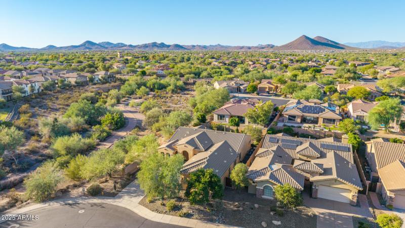 65 - Blackstone Drone