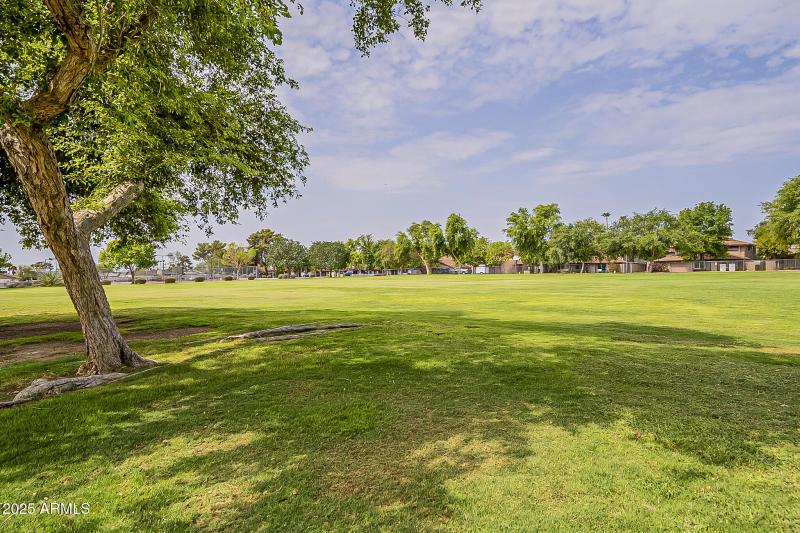 Apache Park Across Street (1)