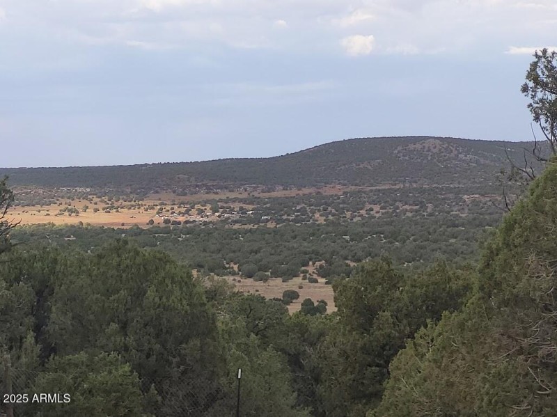 20250603_165338 Back Porch view