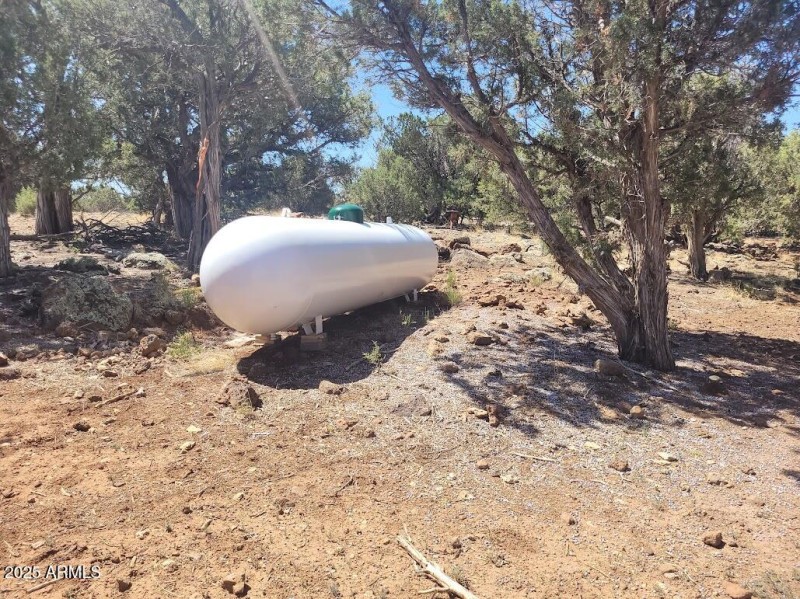 20250606_100849 Propane Tank owned