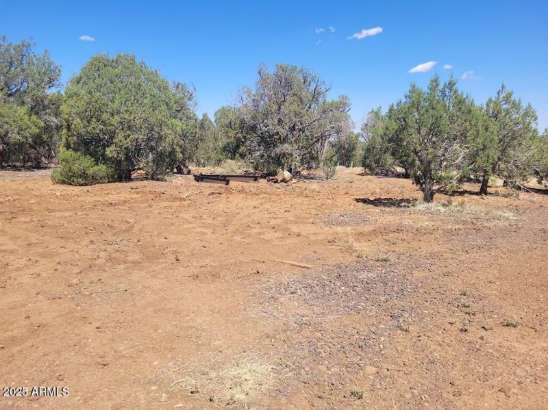 20250606_102115 More yard