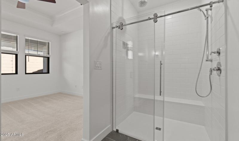 FSVV Lot #47 Primary Bath 2 (Large)