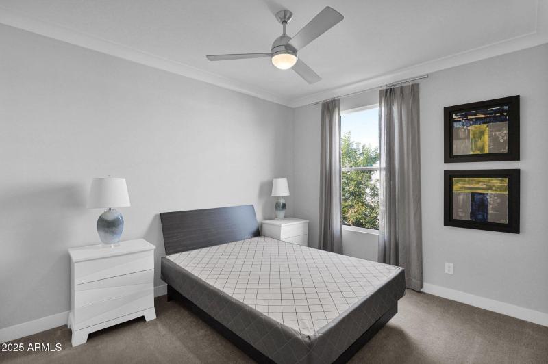 24-web-or-mls-P1048728