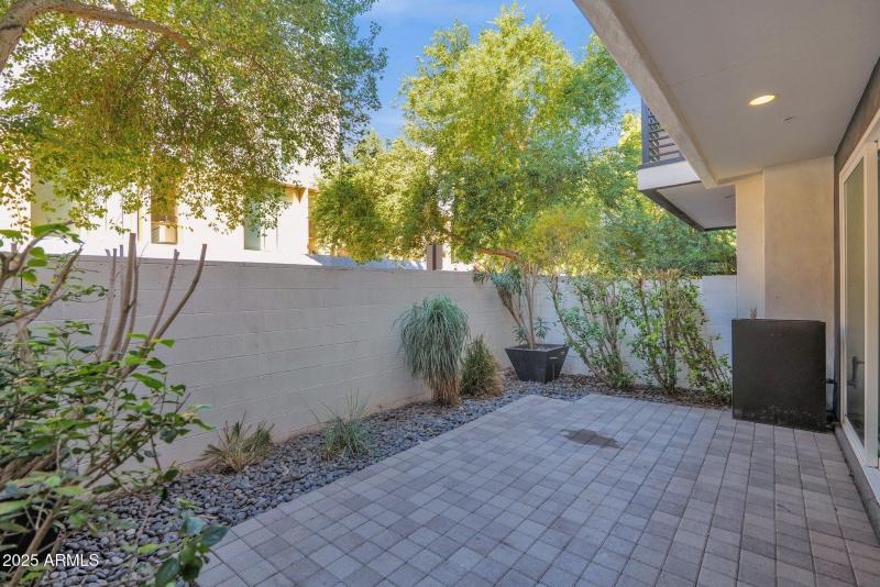 37-web-or-mls-P1048747