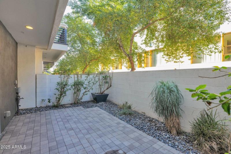 40-web-or-mls-P1048750